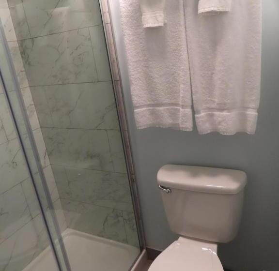 四人标准间, St Charles Hotel Downtown Hudson