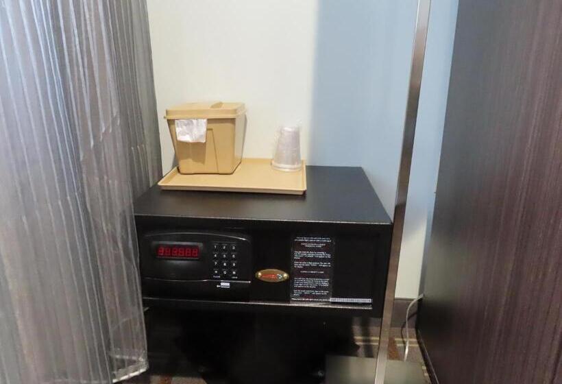 带大床的套房, St Charles Hotel Downtown Hudson