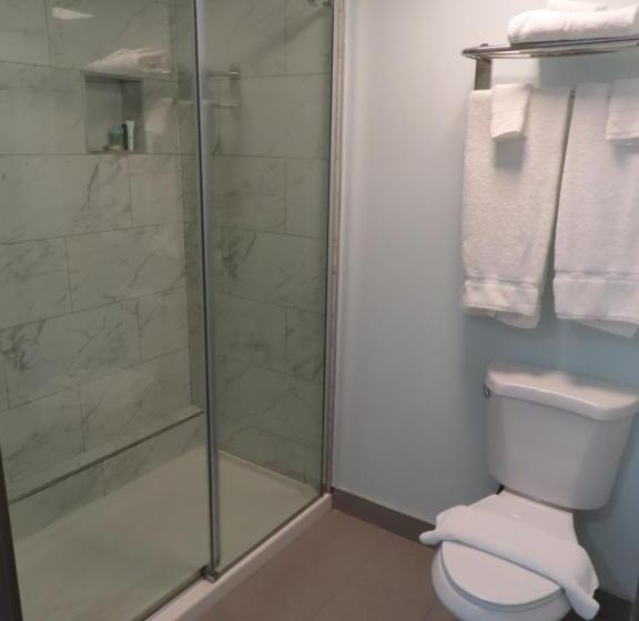 经典单人间, St Charles Hotel Downtown Hudson