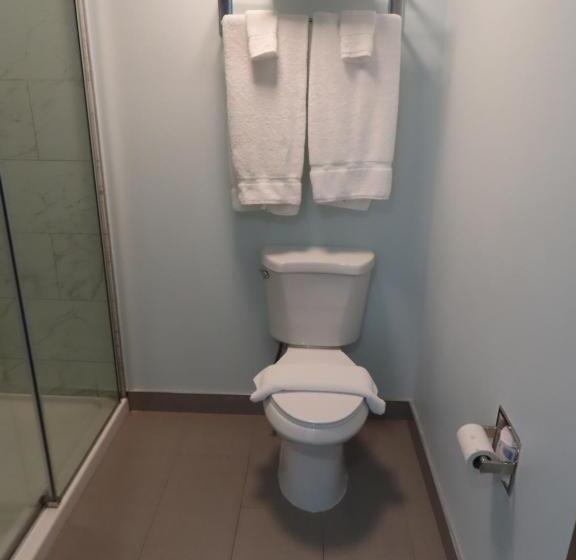 经典单人间, St Charles Hotel Downtown Hudson