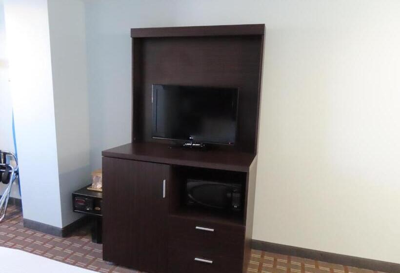 经典单人间, St Charles Hotel Downtown Hudson