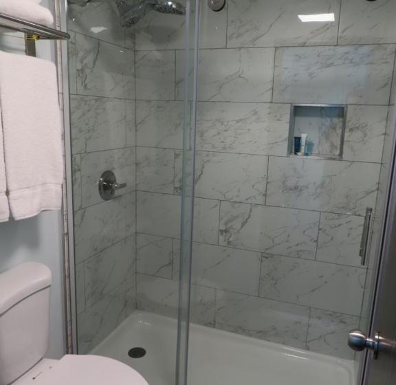 带大床的套房, St Charles Hotel Downtown Hudson