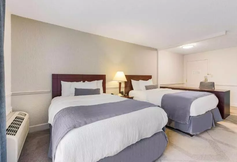 2ダブルベッドのスタンダードルーム, The Blu Hotel Blue Ash Cincinnati, Ascend Hotel Collection