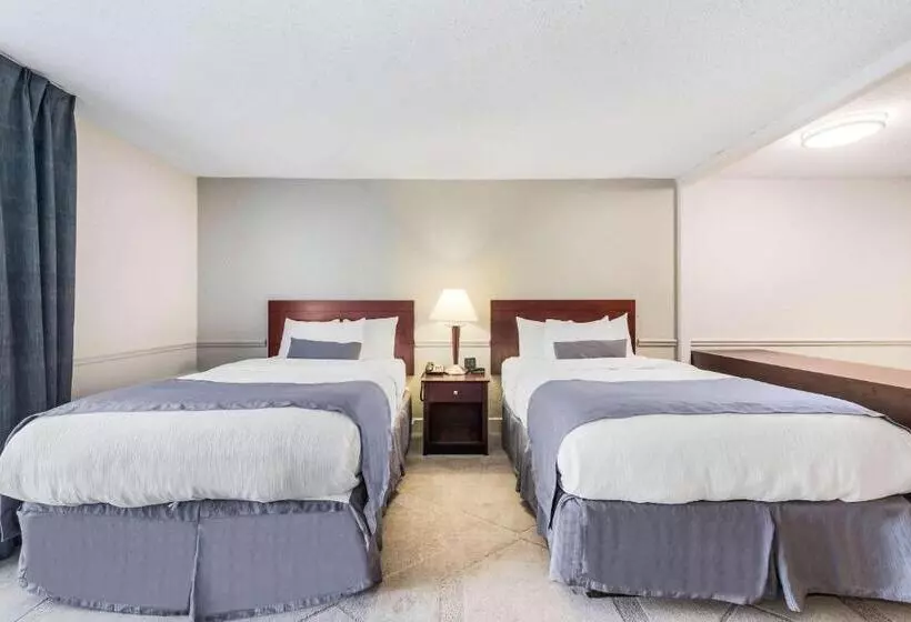 2ダブルベッドのスタンダードルーム, The Blu Hotel Blue Ash Cincinnati, Ascend Hotel Collection