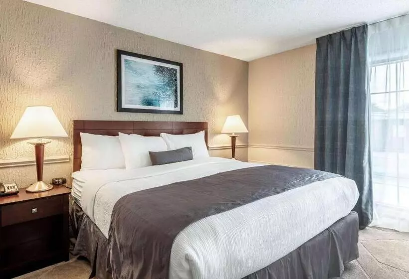 キングサイズベッドのスイートルーム, The Blu Hotel Blue Ash Cincinnati, Ascend Hotel Collection