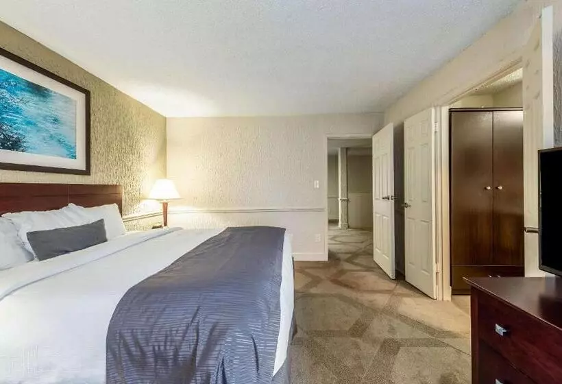 デラックススイート, The Blu Hotel Blue Ash Cincinnati, Ascend Hotel Collection