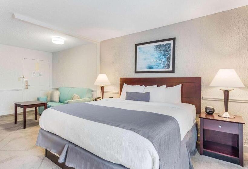 سوئیت با تخت بزرگ, The Blu Hotel Blue Ash Cincinnati, Ascend Hotel Collection