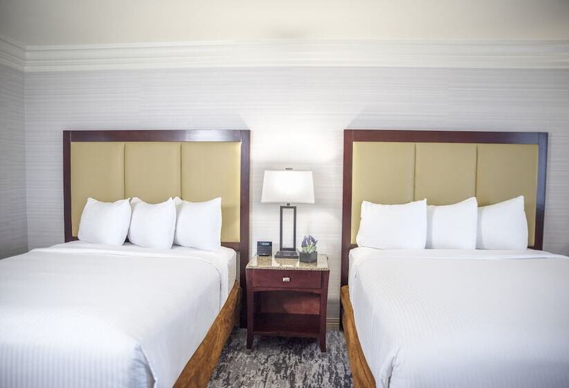 חדר קלאב, The Madison Concourse