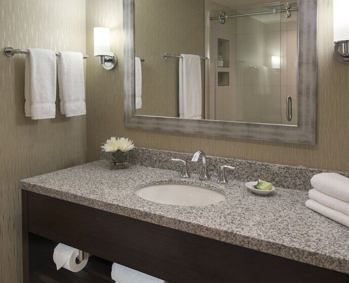 חדר פרמיום, The Madison Concourse