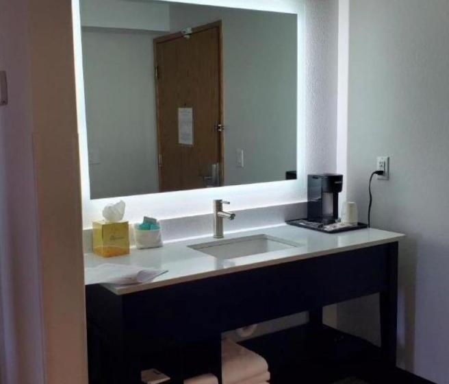 Büyük Çift Kişilik Yataklı Standart Oda, Thea Tacoma, Ascend Hotel Collection