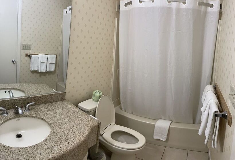 Номер Deluxe, Whitney Inn & Suites
