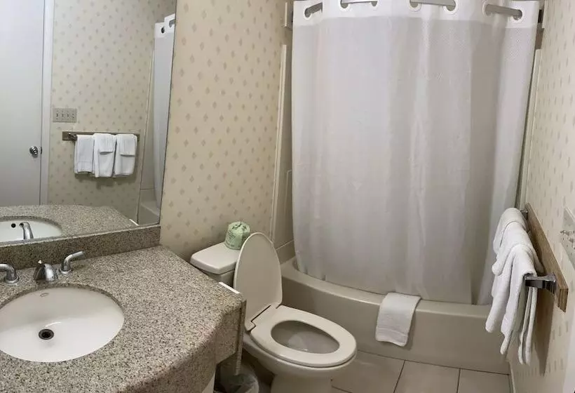 デラックスルーム, Whitney Inn & Suites
