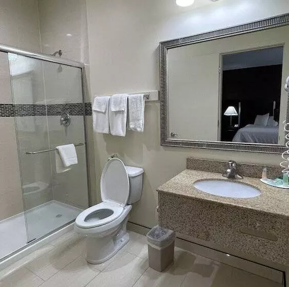 デラックスルーム, Whitney Inn & Suites