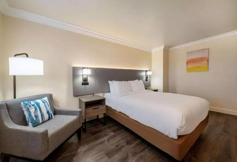 اتاق استاندارد, Comfort Inn Gilroy