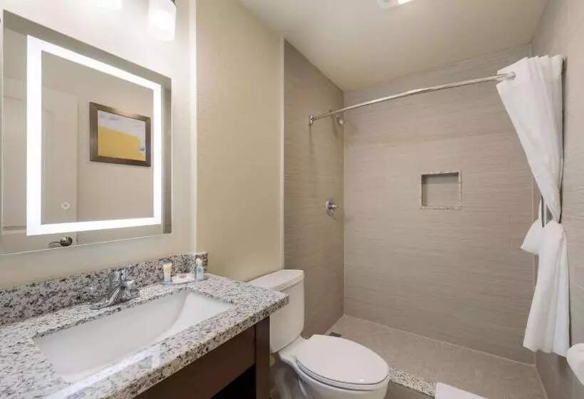 اتاق استاندارد, Comfort Inn Gilroy