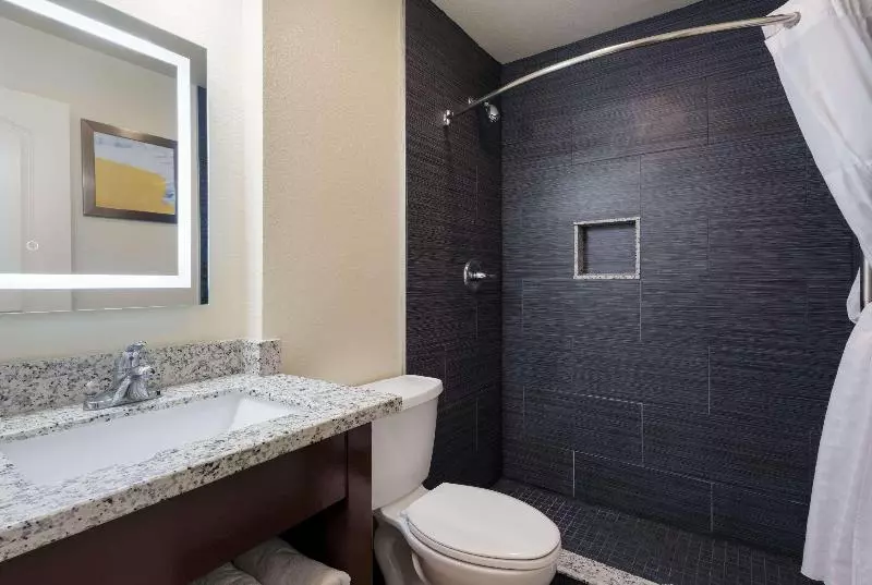 اتاق استاندارد با تخت بزرگ, Comfort Inn Gilroy