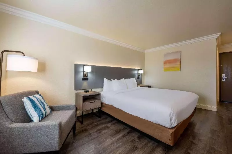 اتاق استاندارد با تخت بزرگ, Comfort Inn Gilroy