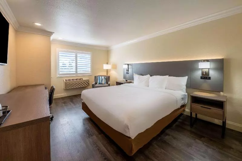 اتاق استاندارد با تخت بزرگ, Comfort Inn Gilroy