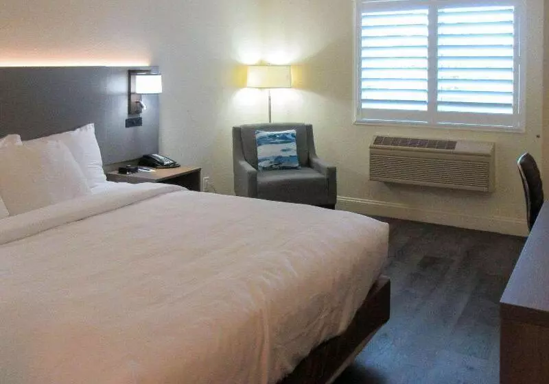 اتاق استاندارد با تخت بزرگ, Comfort Inn Gilroy
