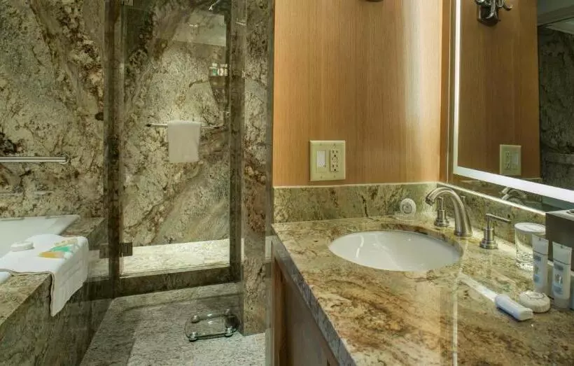 اتاق پرمیوم, Sun Valley Resort