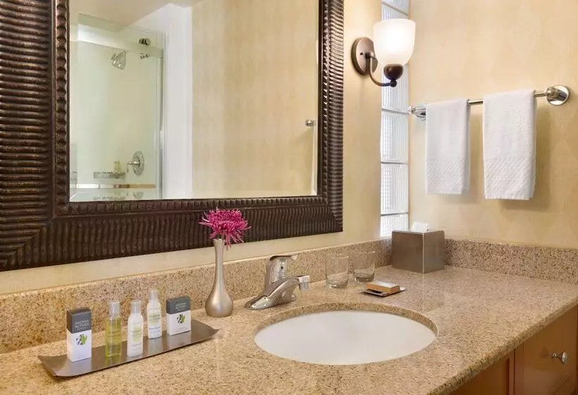 スタンダードルーム, Doubletree Resort By Hilton  Paradise Valley  Scottsdale