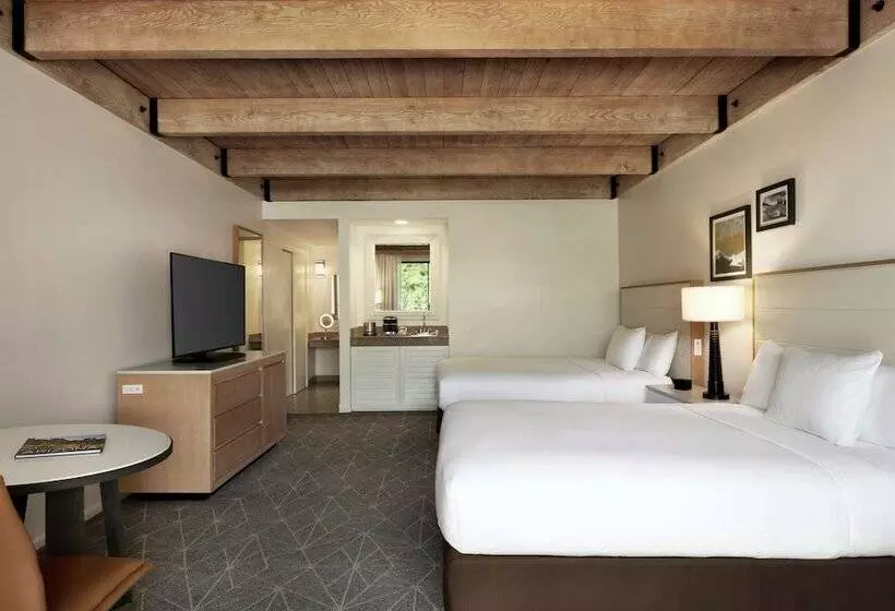 身障者適用スタンダードルーム, Doubletree Resort By Hilton  Paradise Valley  Scottsdale