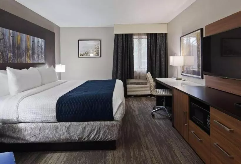 キングサイズベッドのスタンダードルーム, Best Western Atlantamarietta Ballpark