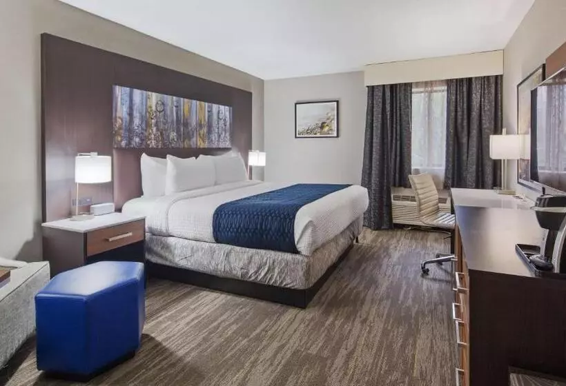 キングサイズベッドのスタンダードルーム, Best Western Atlantamarietta Ballpark