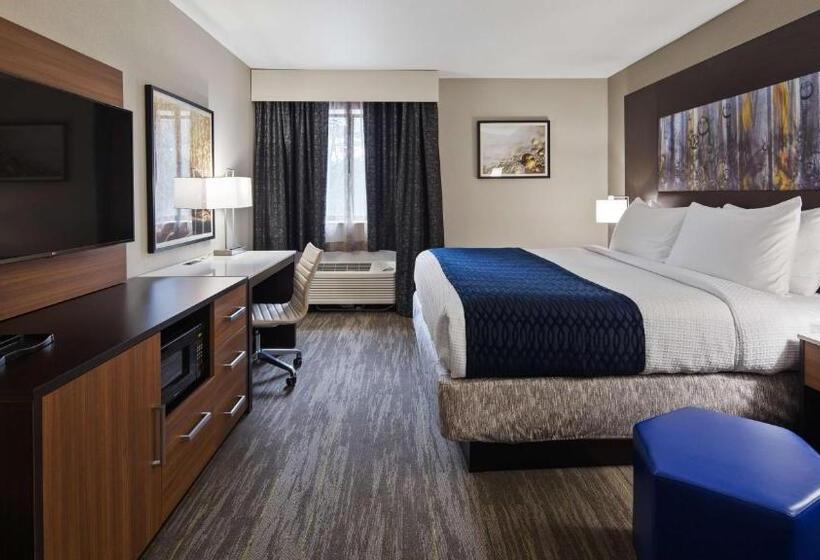 身障者適用キングサイズベッドルーム, Best Western Atlantamarietta Ballpark