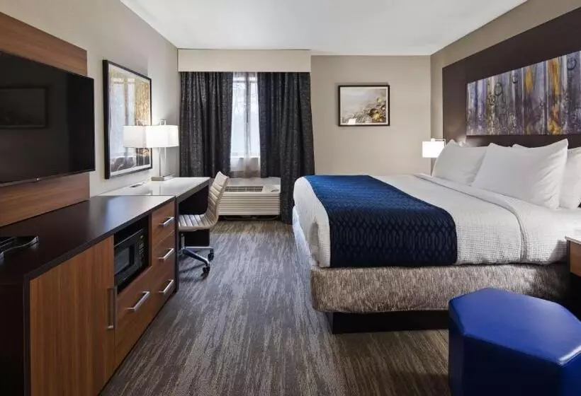 身障者適用キングサイズベッドルーム, Best Western Atlantamarietta Ballpark