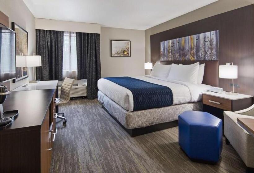 身障者適用キングサイズベッドルーム, Best Western Atlantamarietta Ballpark