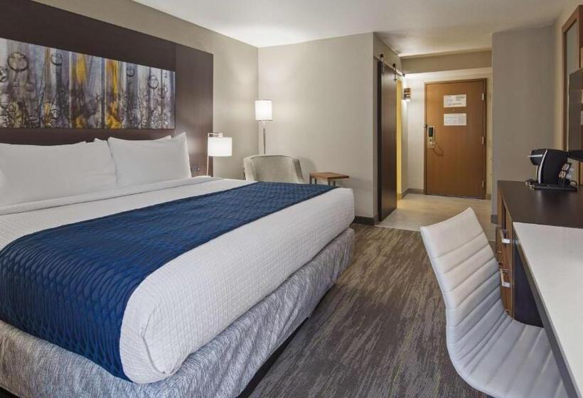 身障者適用キングサイズベッドルーム, Best Western Atlantamarietta Ballpark