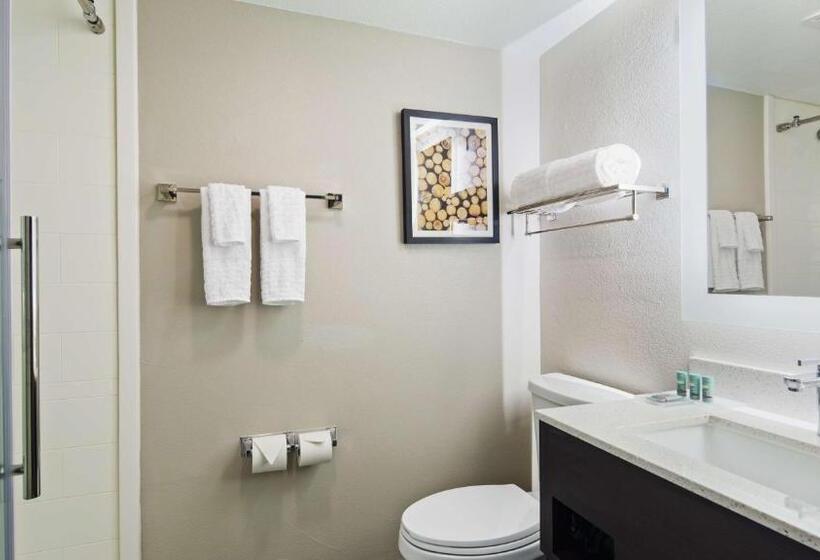 スタンダードルーム, Best Western Atlantamarietta Ballpark