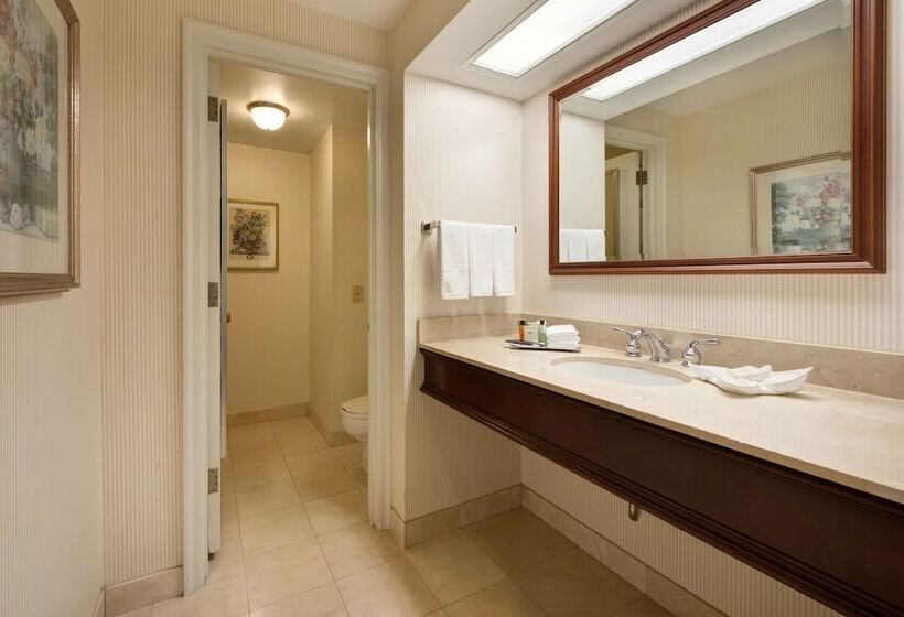 小型套房, Hilton Milwaukee