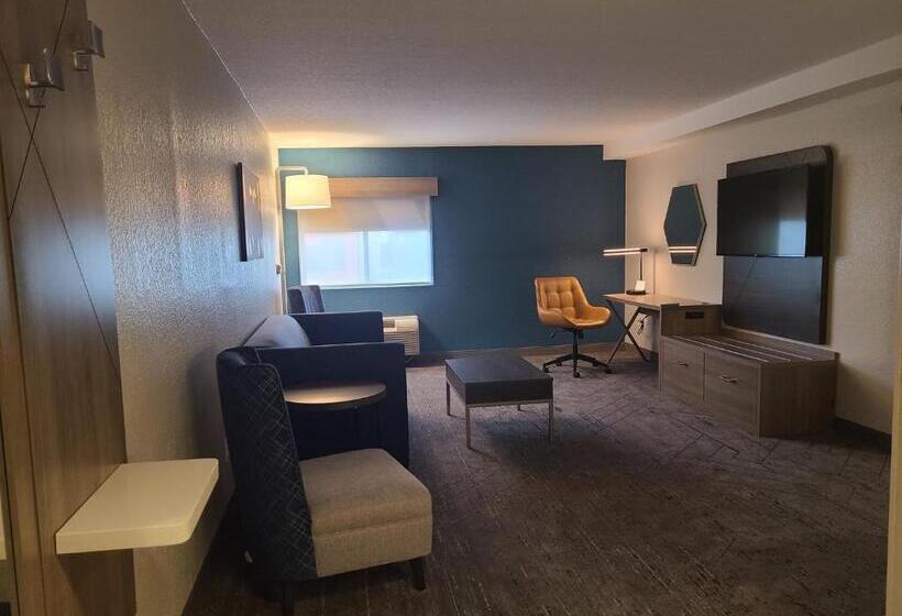带大床的套房, Holiday Inn Express Fort Lauderdale North Executive Airport, An Ihg