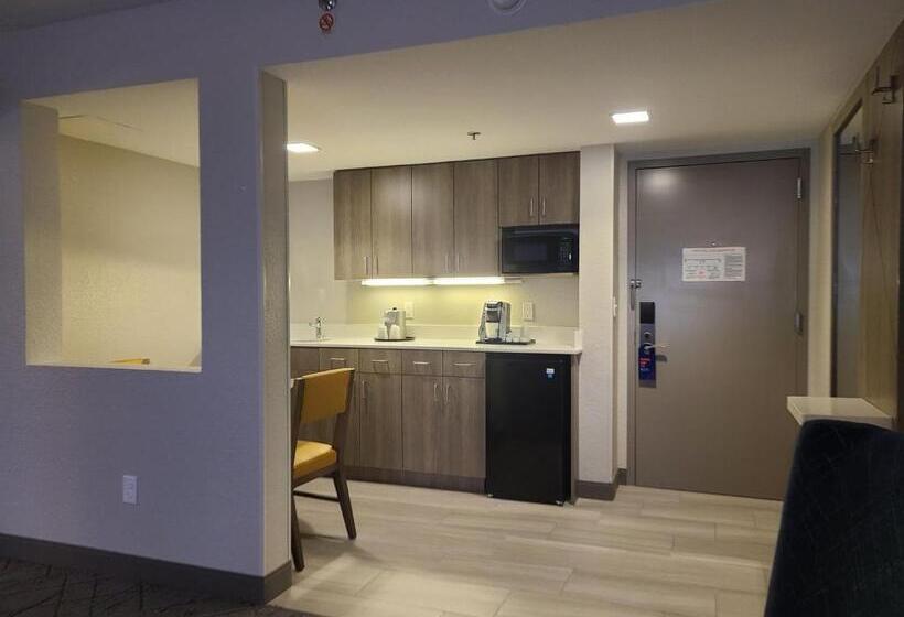 套房, Holiday Inn Express Fort Lauderdale North Executive Airport, An Ihg