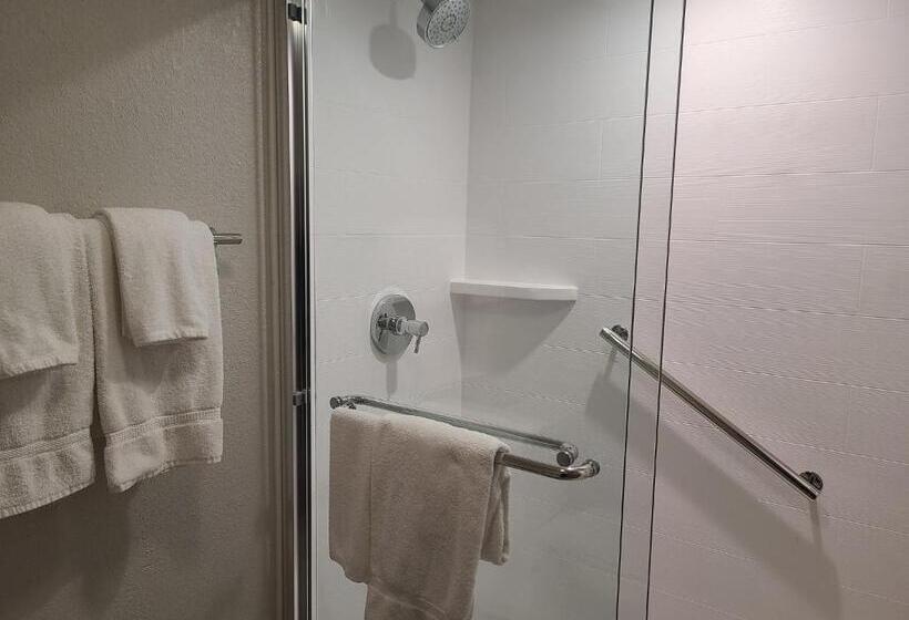 带大床的豪华间, Holiday Inn Express Fort Lauderdale North Executive Airport, An Ihg