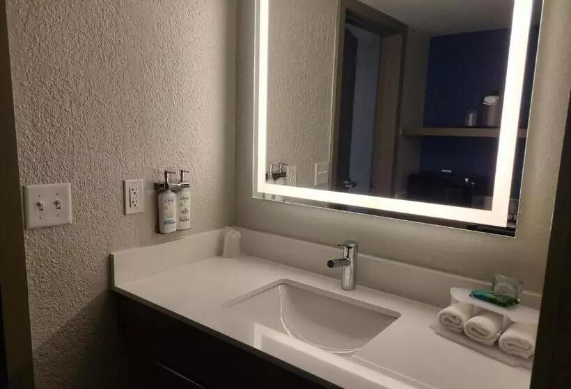 スタンダードルーム, Holiday Inn Express Fort Lauderdale North   Executive Airport, An Ihg