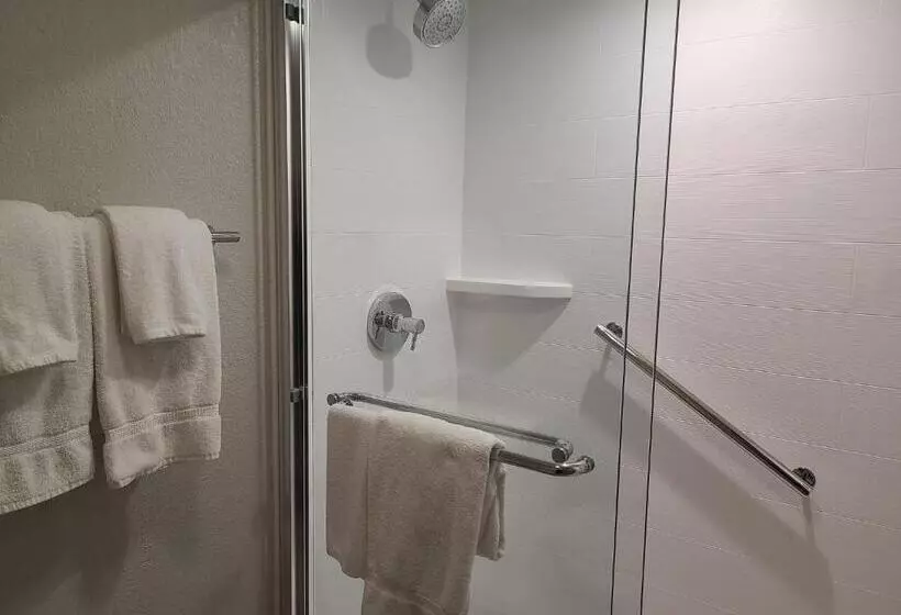 スタンダードルーム, Holiday Inn Express Fort Lauderdale North   Executive Airport, An Ihg