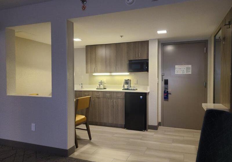 带大床的套房, Holiday Inn Express Fort Lauderdale North Executive Airport, An Ihg