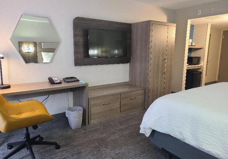 适合残疾人士使用的带超级大床的标准间, Holiday Inn Express Fort Lauderdale North Executive Airport, An Ihg