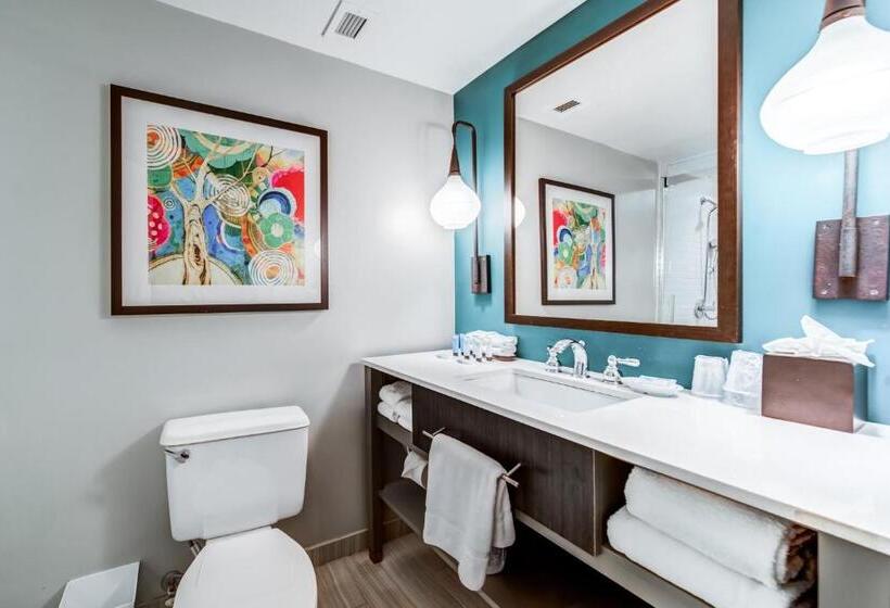 Стандартный Номер Кровать Кинг, Indigo Atlanta Vinings, An Ihg