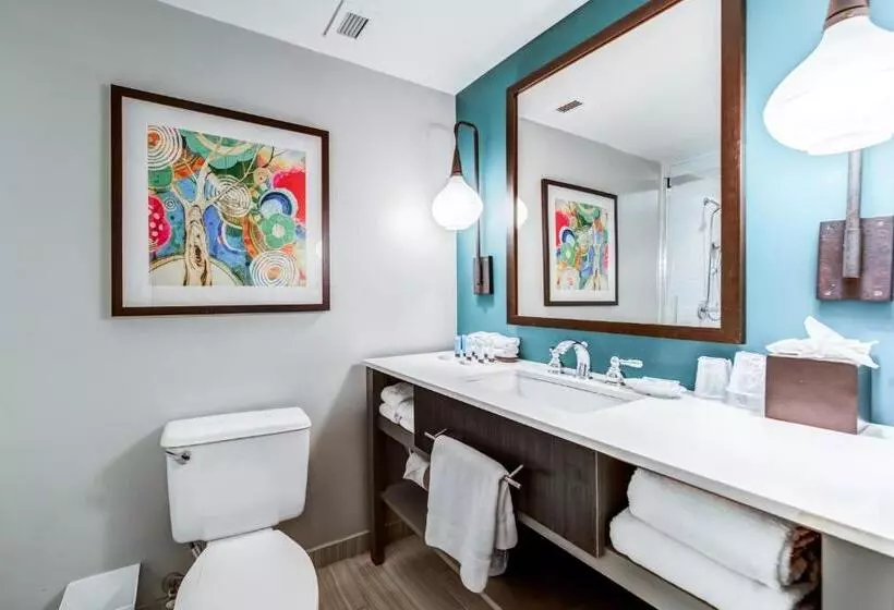 プールビュースタンダードルーム, Indigo Atlanta Vinings, An Ihg