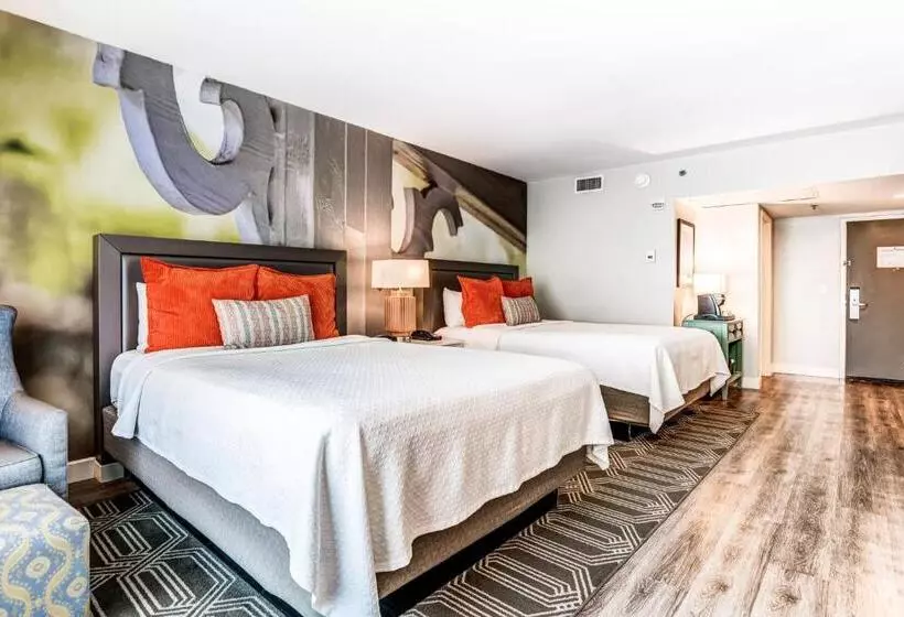 身障者適用スタンダードルーム, Indigo Atlanta Vinings, An Ihg