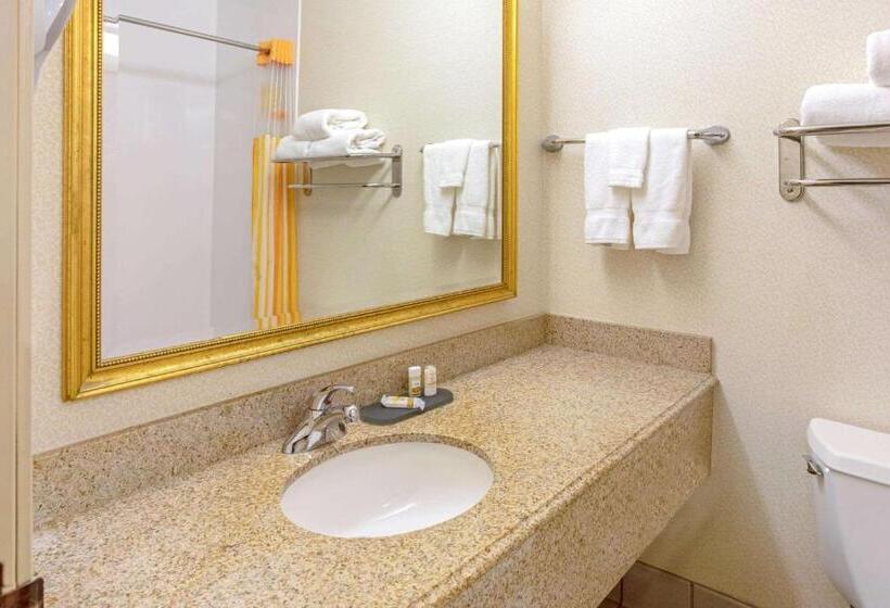 Люкс Кровать Кинг, La Quinta By Wyndham Appleton College Avenue