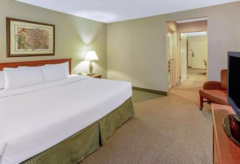 سوئیت با تخت بزرگ, La Quinta By Wyndham Appleton College Avenue