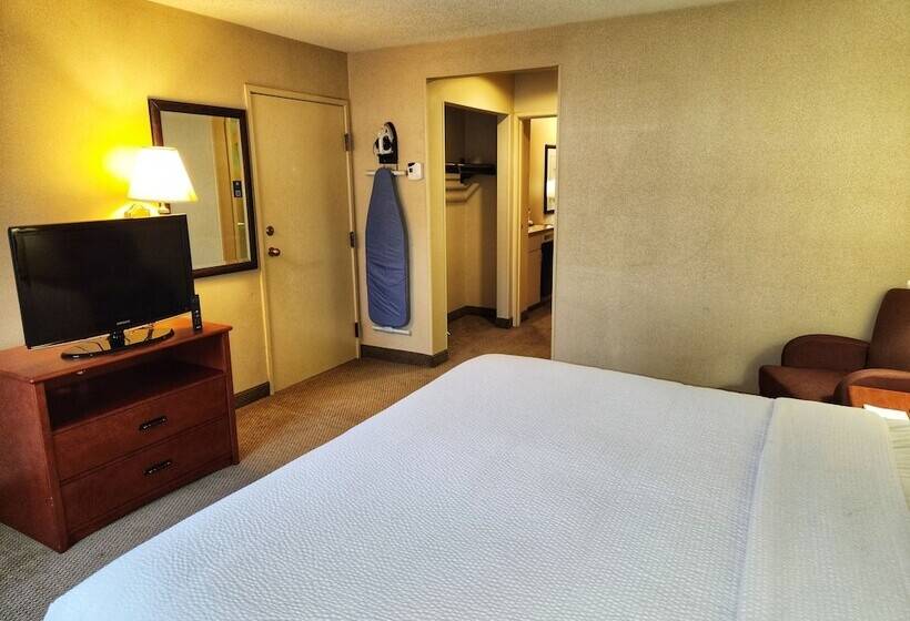 스위트 킹사이즈 침대, La Quinta By Wyndham Appleton College Avenue