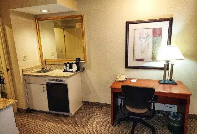 سوئیت با تخت بزرگ, La Quinta By Wyndham Appleton College Avenue