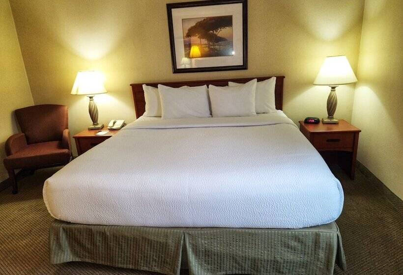 스위트 킹사이즈 침대, La Quinta By Wyndham Appleton College Avenue