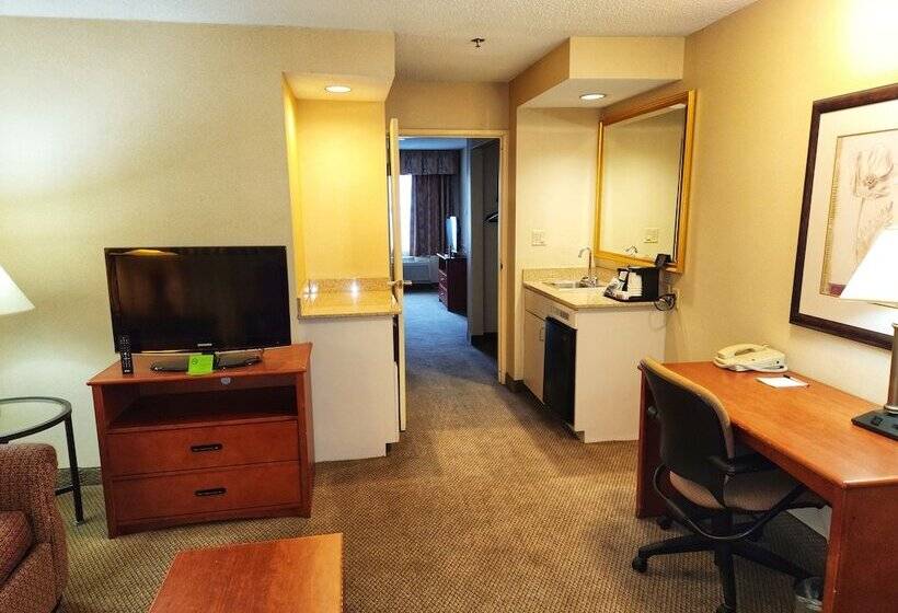 스위트 킹사이즈 침대, La Quinta By Wyndham Appleton College Avenue